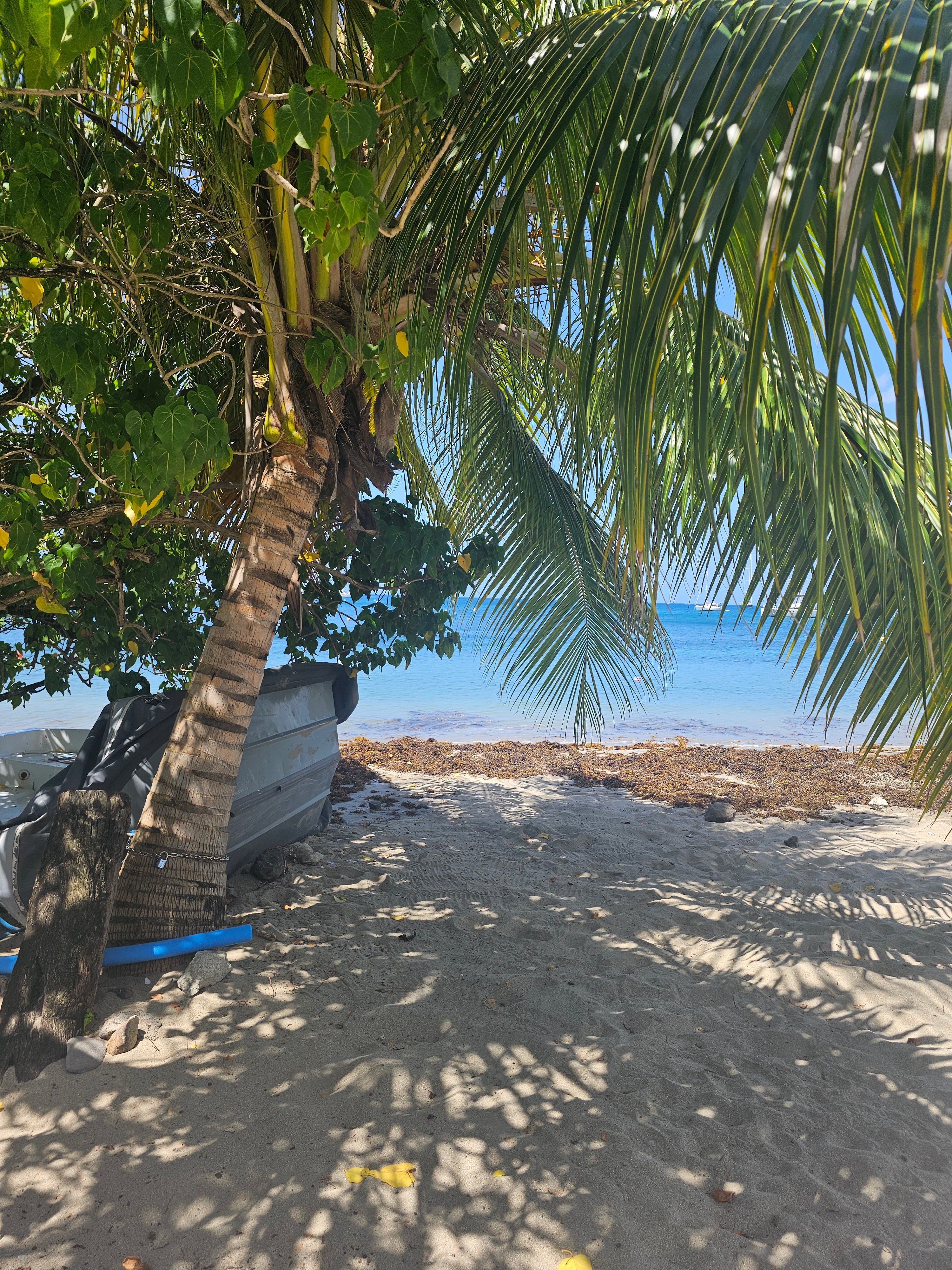 Sandstrand unter Palmen mit Blick aufs Meer – Urlaubsstimmung und Reisen
